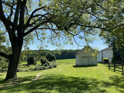 A serene farm scene featuring a large tree, a white barn, and lush green fields under a clear blue sky.