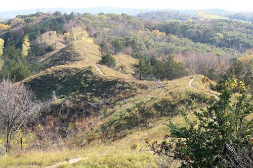 A winding trail through rolling hills covered in green grass and scattered trees under a clear sky.