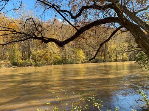 A serene river scene surrounded by autumn foliage and a bare tree branch extending over the water.