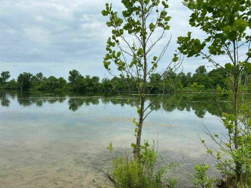 A serene lake scene with trees reflecting in the calm water under a cloudy sky.