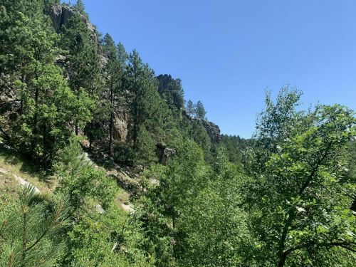 Lush green trees and rocky cliffs under a clear blue sky in a mountainous landscape.