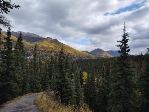 A winding path through a forest with tall trees, leading to mountains covered in autumn foliage under a cloudy sky.