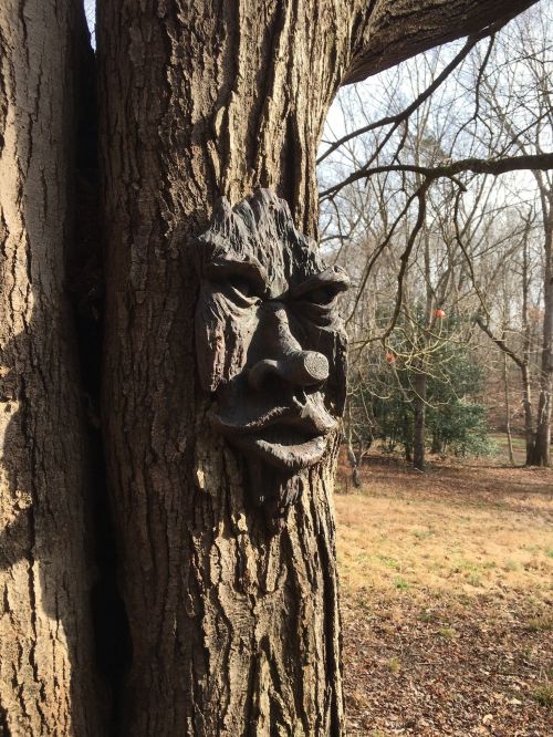 A tree trunk with a carved face resembling a mask, surrounded by a natural outdoor setting.