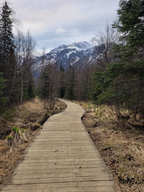 A winding wooden path leads through a forest, with a snow-capped mountain in the background under a cloudy sky.