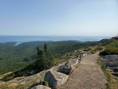 A scenic view from a mountain overlooking a forested landscape and a calm blue sea in the distance.
