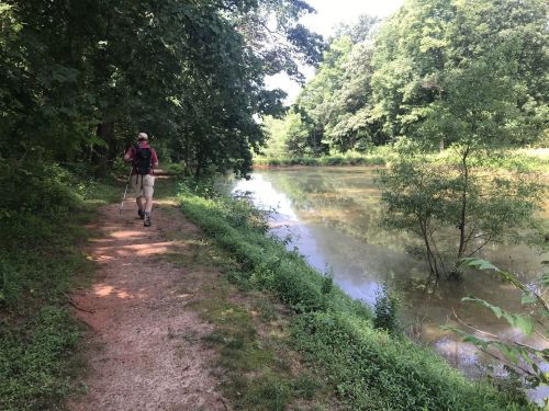 A person walks along a dirt path by a calm river, surrounded by lush greenery and trees on a sunny day.