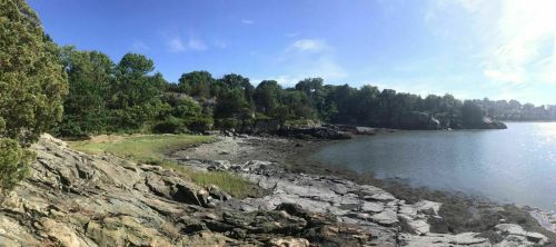 A panoramic view of a rocky shoreline with lush greenery and calm water under a clear blue sky.