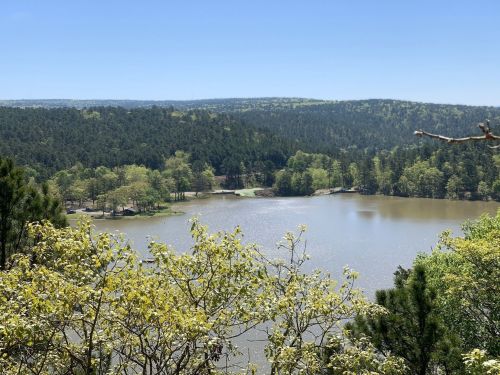 A serene lake surrounded by lush green trees under a clear blue sky, with rolling hills in the background.