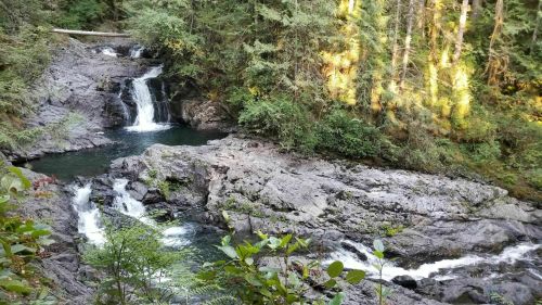 A serene waterfall cascades over rocky terrain, surrounded by lush green trees and foliage.