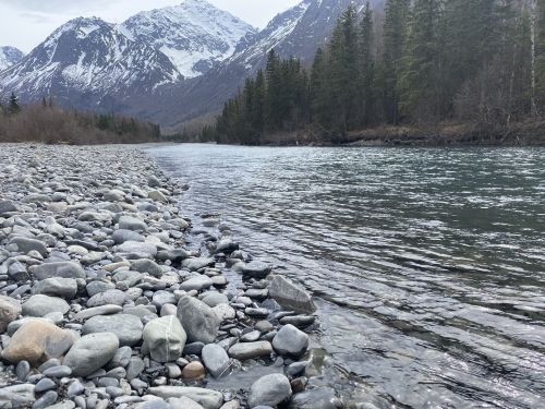 A serene river flows between rocky shores, surrounded by mountains and evergreen trees under a cloudy sky.