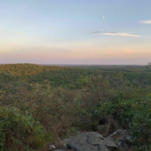 A scenic view of rolling hills and trees under a pastel sky with a crescent moon visible.