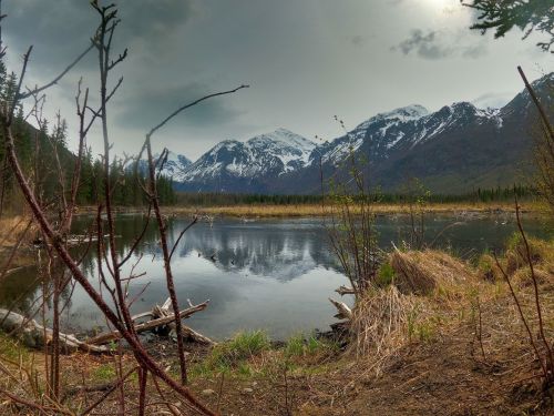 A serene landscape featuring a calm lake reflecting snow-capped mountains, surrounded by trees and grassy banks.