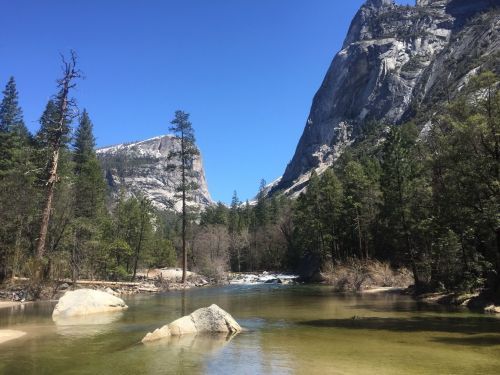 A serene river flows through a forested landscape, surrounded by towering mountains under a clear blue sky.
