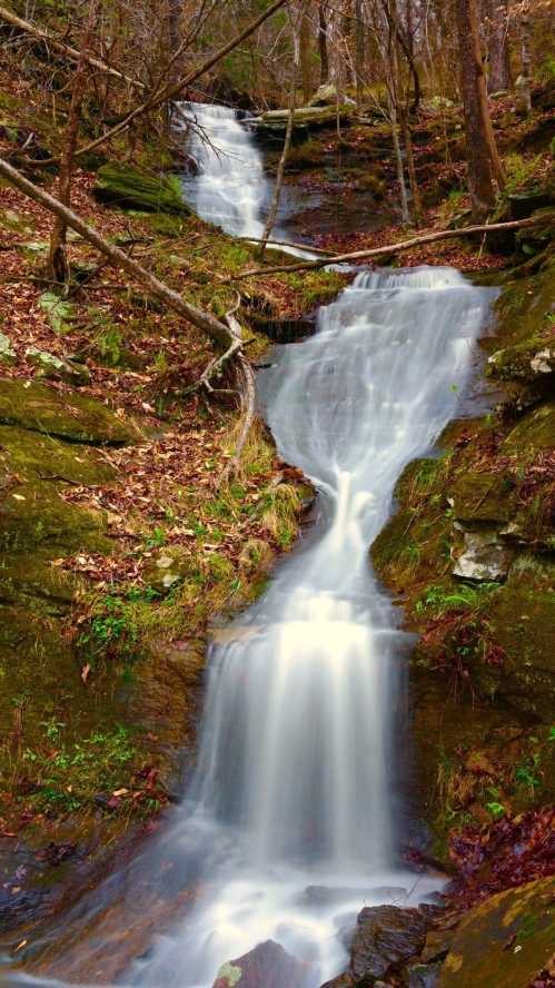 A serene waterfall cascades down rocky terrain, surrounded by lush greenery and fallen leaves in a tranquil forest setting.