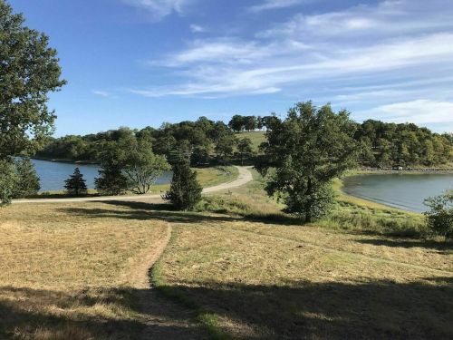 A scenic view of a winding path along a lake, surrounded by trees and grassy areas under a clear blue sky.