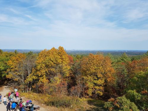 A scenic view from a hilltop, showcasing vibrant autumn foliage and a distant city skyline under a blue sky.