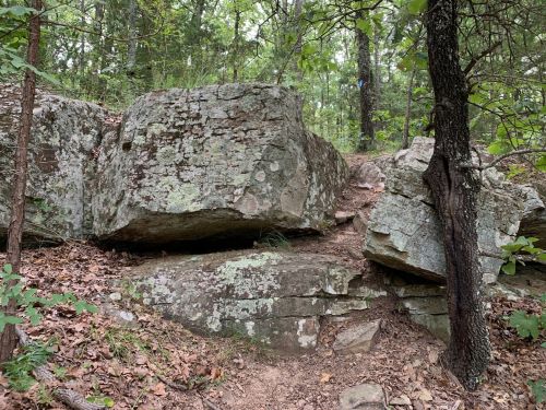 A rocky path through a forest, featuring large boulders and scattered leaves on the ground.