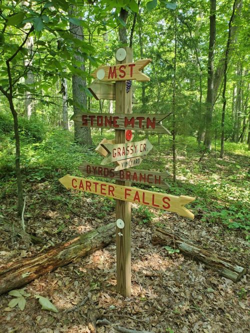 Wooden signpost in a forest with directional arrows pointing to MST, Stone Mtn, Grassy Cr, Doyros Branch, and Carter Falls.
