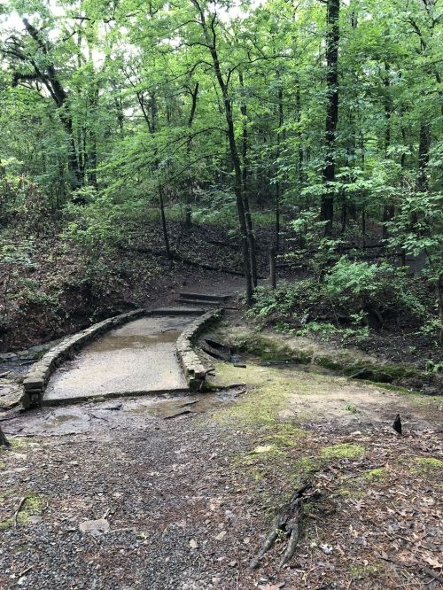 A winding stone path through a lush green forest, surrounded by trees and soft earth.