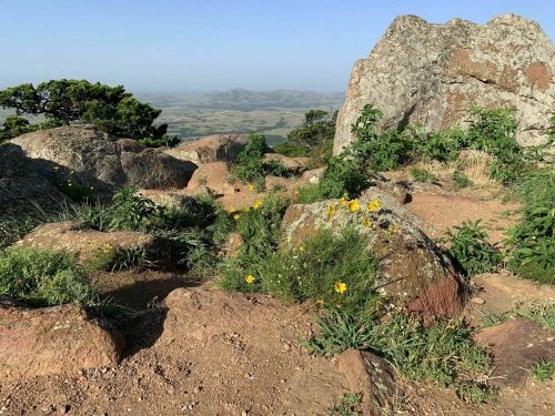 Rocky terrain with scattered wildflowers and greenery, overlooking a vast landscape under a clear blue sky.