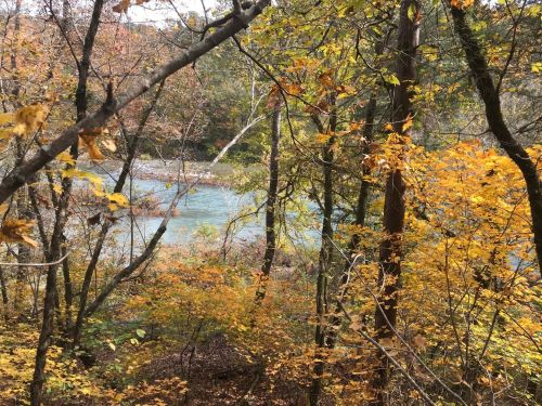 A serene river flows through a forest with vibrant autumn leaves in shades of orange and yellow.