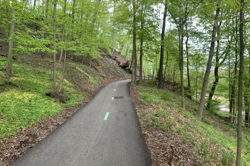 A winding path through a lush green forest, surrounded by trees and gentle slopes.