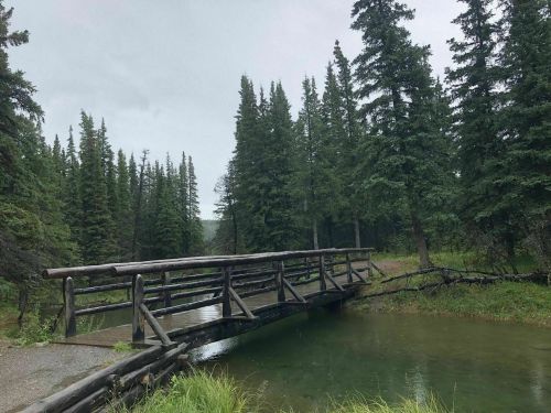 A wooden bridge spans a calm stream, surrounded by tall evergreen trees under a cloudy sky.