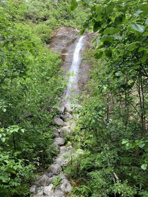 A serene waterfall cascading down a rocky surface, surrounded by lush green foliage and trees.