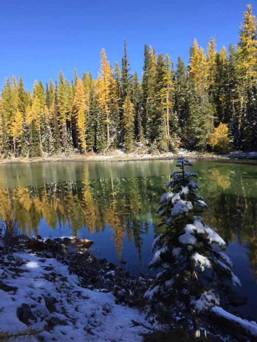 A serene lake surrounded by tall trees with autumn foliage and a dusting of snow on the ground. Clear blue sky above.