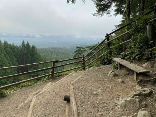 A scenic view from a forested area, featuring a wooden bench and a railing overlooking a misty valley.