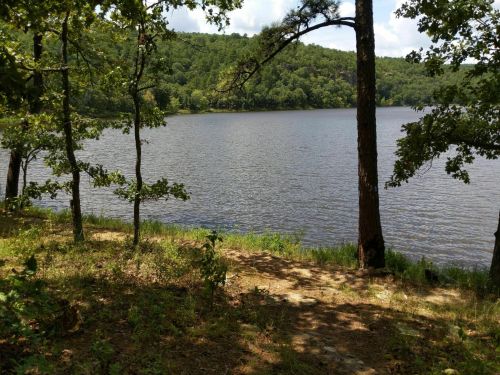 A serene lake surrounded by trees and greenery, with a clear sky and gentle waves on the water's surface.
