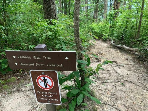 A trail sign in a wooded area indicating directions to Endless Wall Trail and Diamond Point Overlook, with a warning sign.