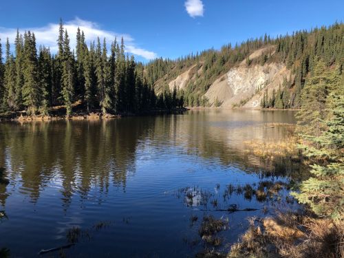 A serene lake surrounded by tall evergreen trees and rocky hills under a clear blue sky. Reflections shimmer on the water.