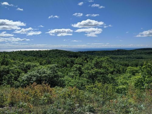 A panoramic view of lush green forests under a bright blue sky with scattered clouds and distant hills.