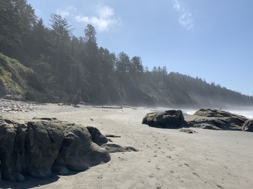 A sandy beach with large rocks, surrounded by trees and misty hills under a clear blue sky.