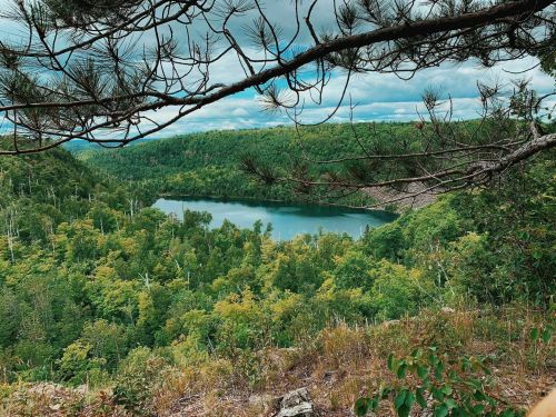 A serene view of a lake surrounded by lush green trees and hills, framed by branches in the foreground.