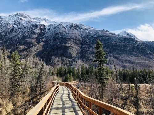 A wooden boardwalk leads through a forest with snow-capped mountains in the background under a clear blue sky.