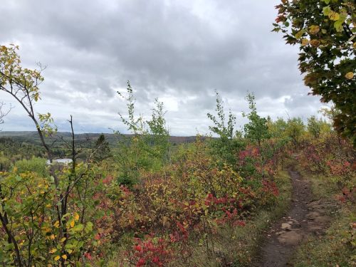 A winding trail through colorful autumn foliage, with a cloudy sky and distant hills in the background.
