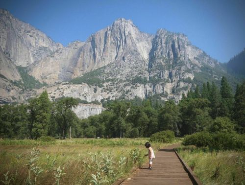 A child explores a wooden path in a lush valley, surrounded by towering mountains and clear blue skies.
