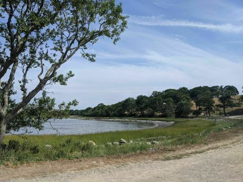 A serene landscape featuring a riverbank, grassy areas, trees, and a clear sky, with a path along the water's edge.