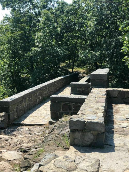 Stone pathway and bridge surrounded by lush green trees in a natural setting.