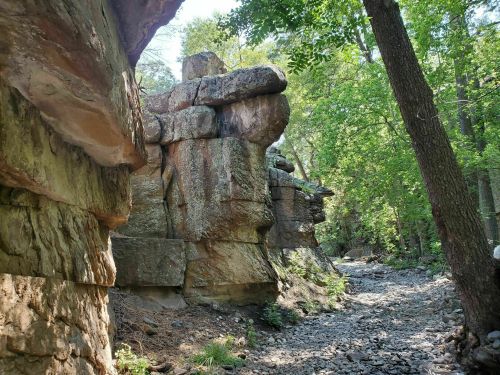 Rock formations along a narrow, rocky path surrounded by lush green trees in a forested area.