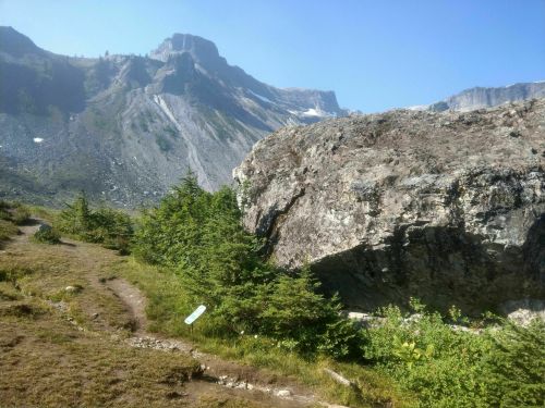 A rocky landscape with a large boulder, green shrubs, and distant mountains under a clear blue sky.