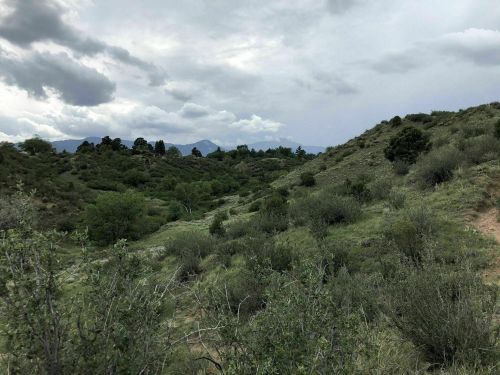 A lush, green landscape with rolling hills and scattered trees under a cloudy sky.