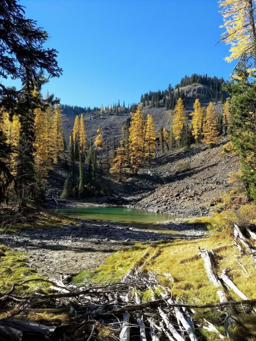 A serene landscape featuring a green pond surrounded by autumn trees and rocky terrain under a clear blue sky.