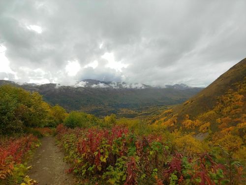 A scenic mountain landscape with colorful autumn foliage and a cloudy sky, featuring a winding dirt path.