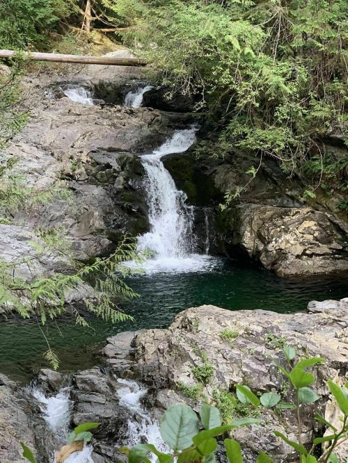 A serene waterfall cascades over rocky terrain into a tranquil pool, surrounded by lush greenery.