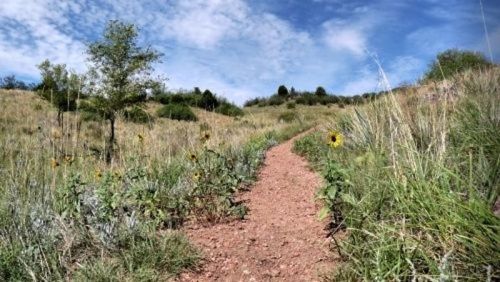 A dirt path winds through a grassy landscape with sunflowers and trees under a blue sky with scattered clouds.