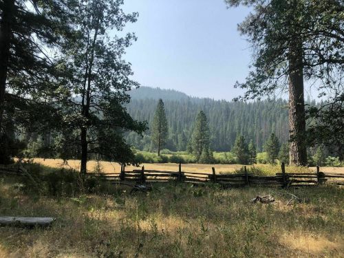 A serene landscape featuring a grassy field bordered by trees and a wooden fence, with mountains in the background.