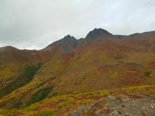 A mountainous landscape with autumn foliage in shades of yellow, orange, and green under a cloudy sky.